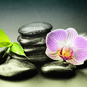 Steine Orchidee