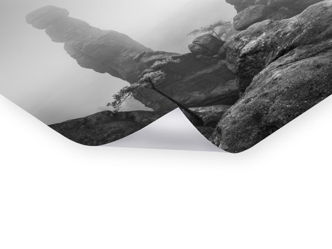 Barbarine im Nebel - S