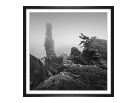 Barbarine im Nebel - S