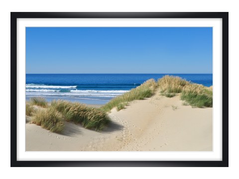 Plaatje van strandduin