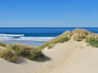 Bild einer Stranddüne