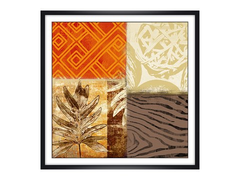 Collage photos succulentes