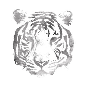Tiger Motiv