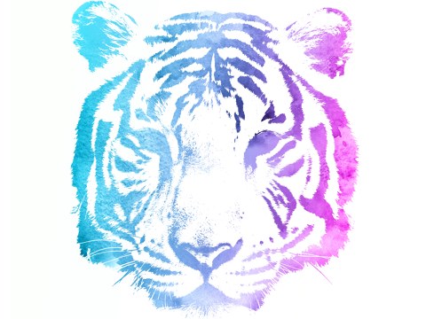 Tiger Motiv