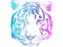 Tiger Motiv