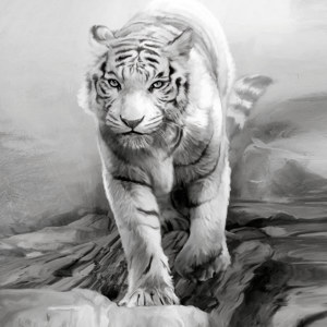 images de tigres