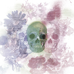 Totenschädel Bild