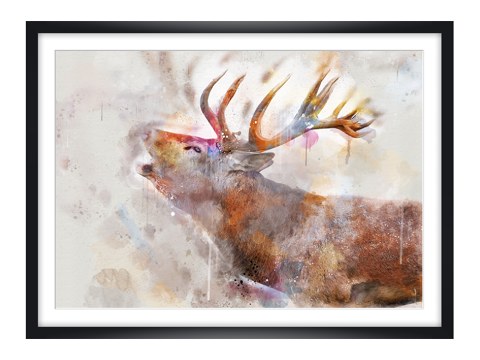 Watercolor deer