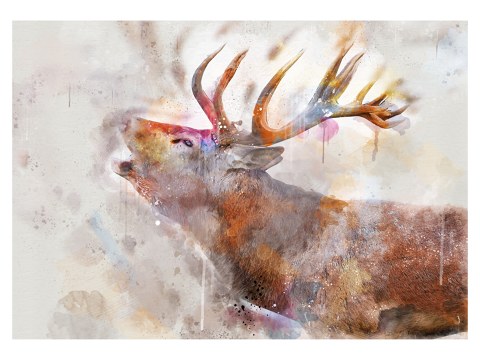 Watercolor deer