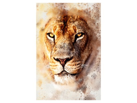 Watercolor lion