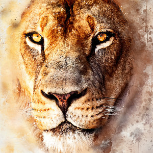 Watercolor lion