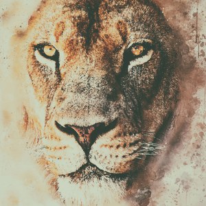 Watercolor lion