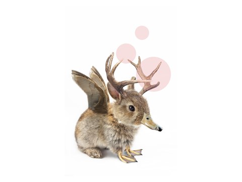 Wolpertinger