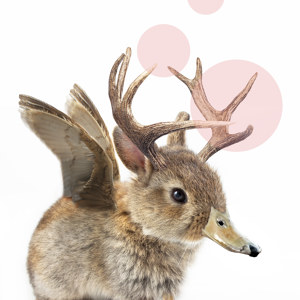 Wolpertinger