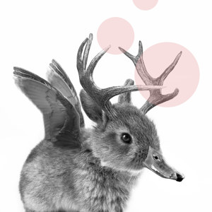 Wolpertinger