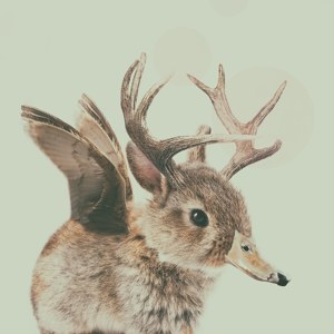 Wolpertinger