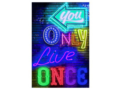 Yolo Poster